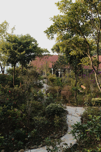 Others 2, Samma Stay Tam Đao, Tam Dao