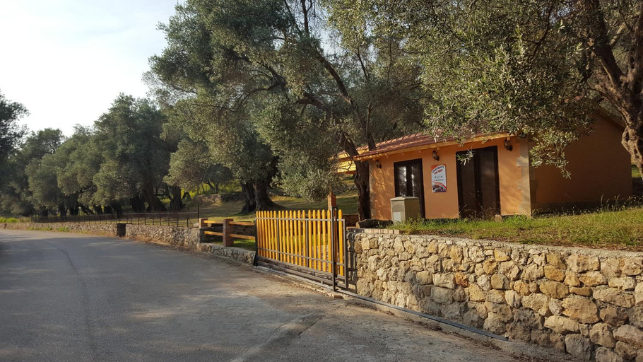 Others 5, Olive Paradise