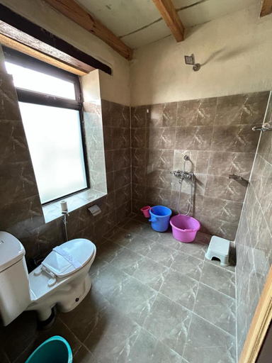 Bathroom 3, Mystic Pangong, Leh