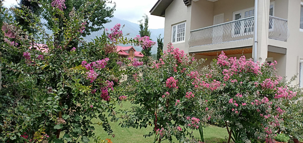 Exterior view 4, Snow Leopard Lodge, Srinagar