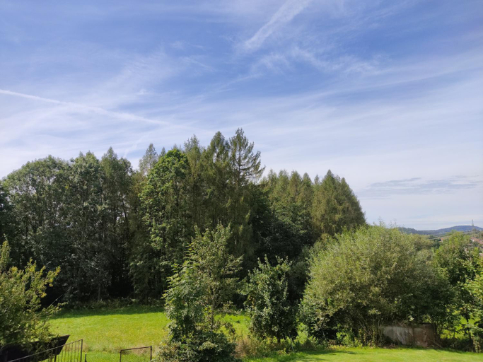 Exterior & Views 4, Pension Bachlhof, Freyung-Grafenau