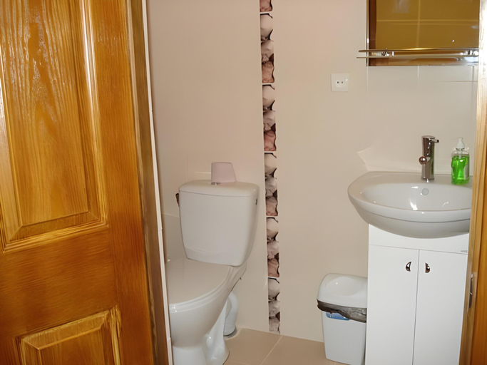 Bathroom 3, Yuzhniy Dvorik, Kominternivs'kyi