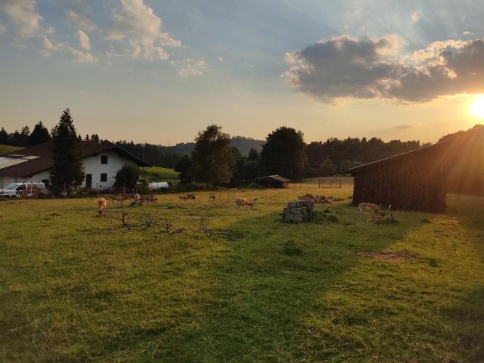 Exterior & Views 5, Pension Bachlhof, Freyung-Grafenau