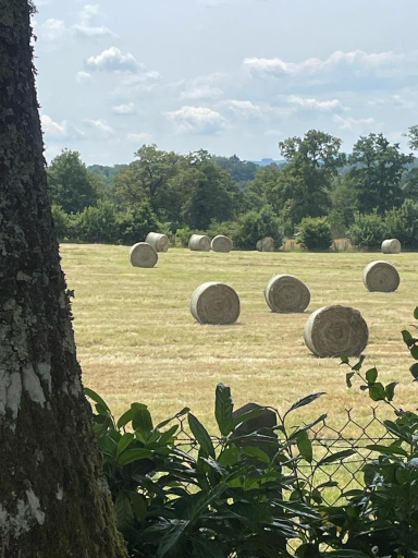Others 3, Les Lauriers, Haute-Vienne