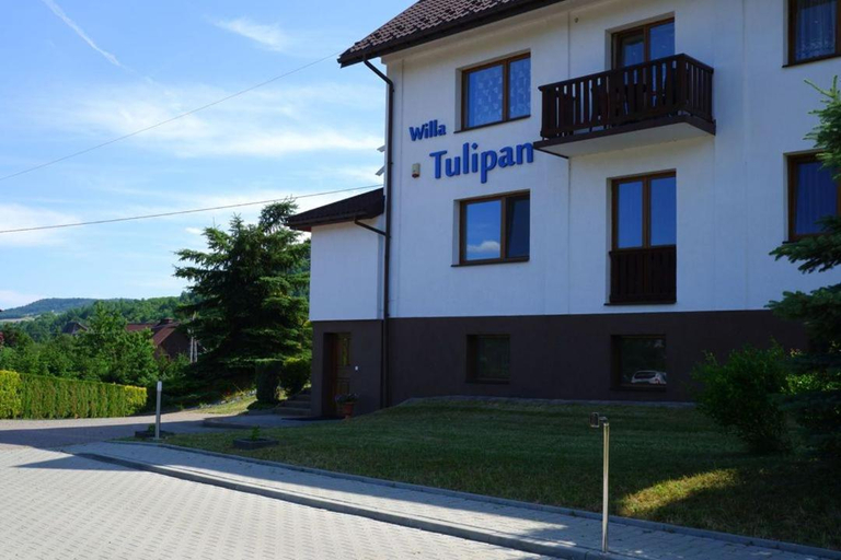 Others 5, Willa Tulipan, Limanowa