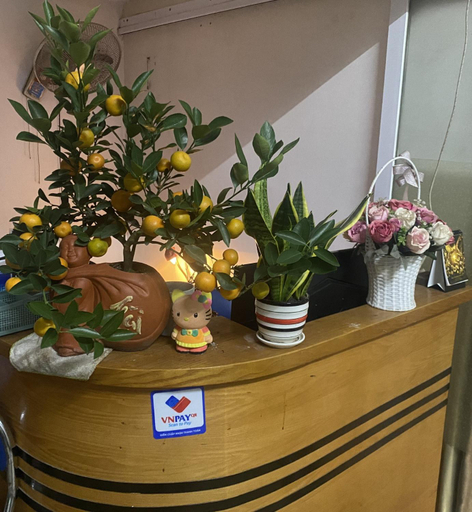 Others 4, Double room with closed double bed, quiet, Đống Đa