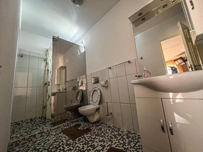 Bathroom, Pensiunea Leonardo, Coronini
