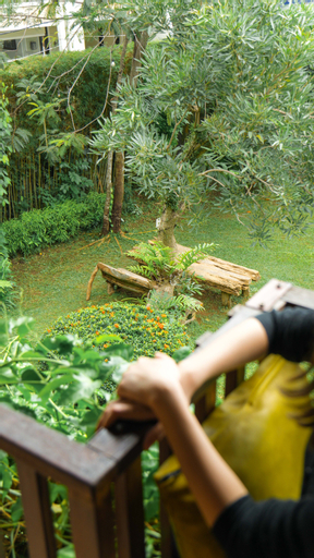 Scenery 13