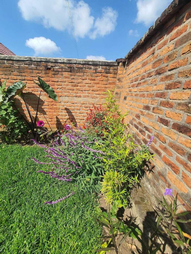 Others 3, Mountain Scene BnB, Musanze