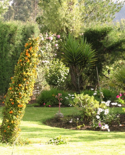 Others 2, Los Jardines de Teresa, Cajamarca