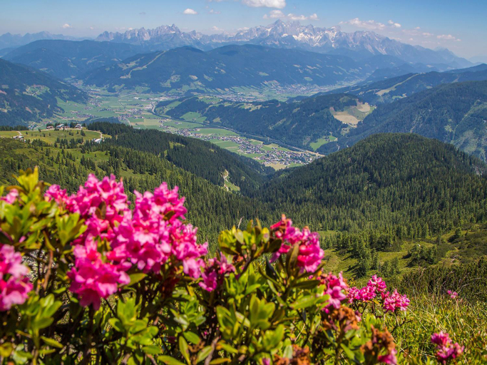 Others 5, Sporthotel Flachauwinkl, Sankt Johann im Pongau