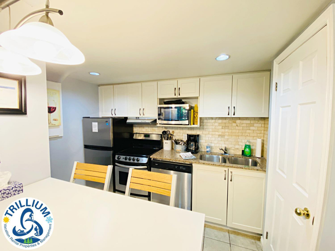 Slopeside Blue Mountain Condo - Wifi, Linens/Towels, Ski In/Out, Grey