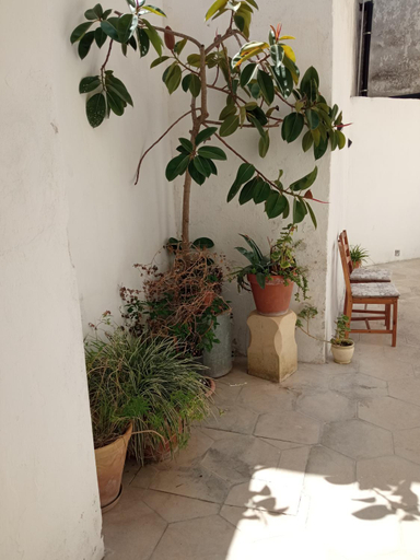 Others 5, Serrano relax room, Lecce