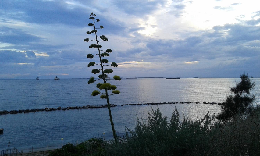 Others 3, Al Chiaro Di Luna, Taranto