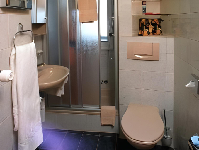 Bathroom, Hotel Walliserhof-Leukerbad-Therme, Leuk