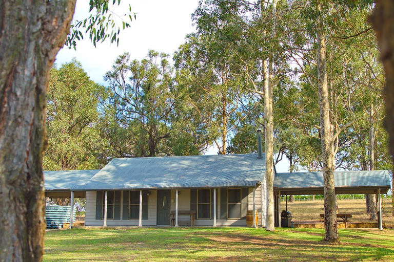 Others 4, RidgeView, Singleton