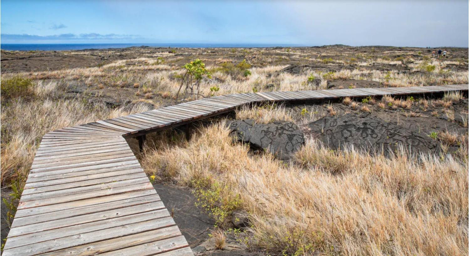 Others 3, Volcano One - Modern Studio with Lanai near Volcano National Park, Hawaii