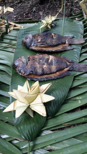 Food & Drinks 5, Seringueira jungle Lodge, Careiro
