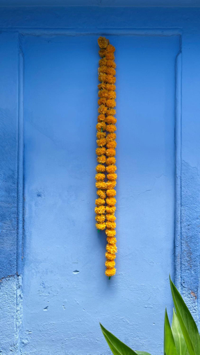 Bristows Haveli Homestay, Jodhpur