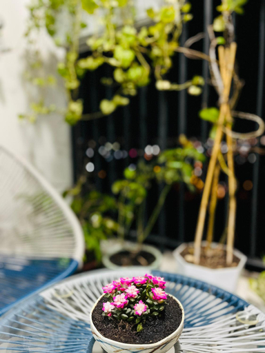 4, Livahome - BEE Lux homestay Di An HCMC, Ho Chi Minh City