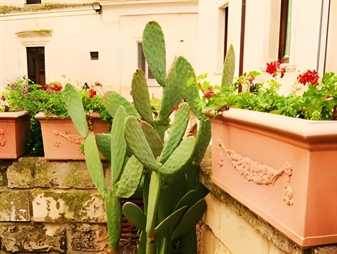 Others 5, B&B Demetra Appartamenti, Lecce