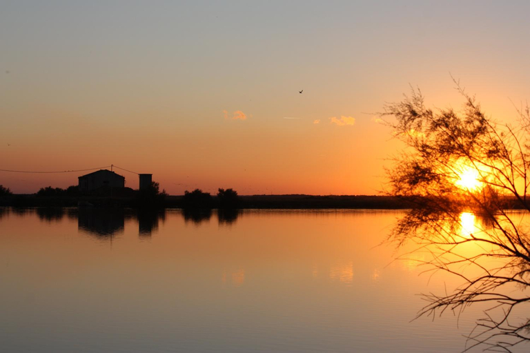 Others 3, Residenza le Saline, Ferrara
