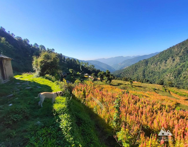 Others 5, Bursol Homestay by StayApart, Chamoli