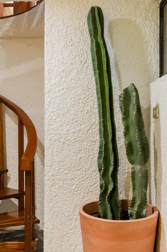 Others 3, Amazing Villas at Las Cupulas, Benito Juárez