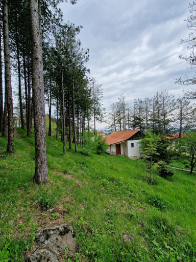 Scenery 15