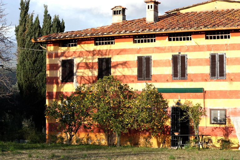 Fattoria di Camporomano, Lucca