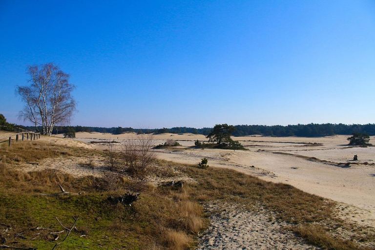 Others 2, B&B Het Wellnest, Nunspeet