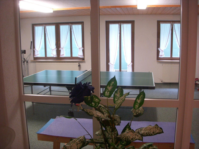 Others 5, Ferienwohnungen Kupferkanne, Waldshut