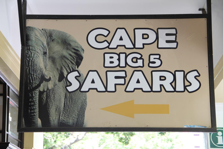 Attractions, Apt 67 Long Street no loadshedding, City of Cape Town