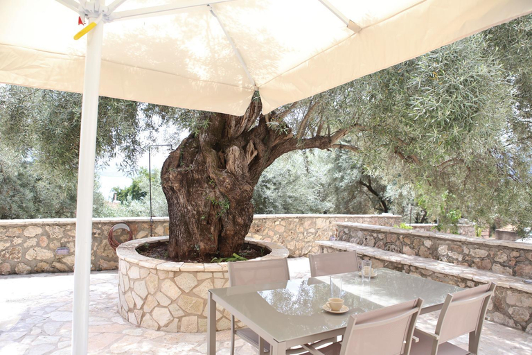 Facilities 5, Lefkada Dikran's Guest House, Ionian Islands