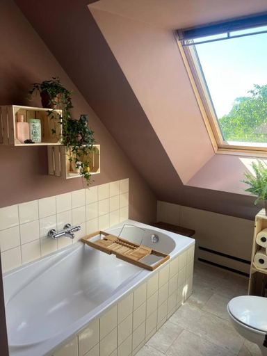 Bathroom 2, Ark van Thesinge, Ten Boer