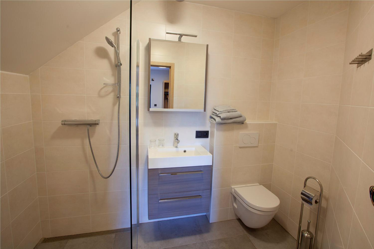Bathroom 5, B&B D'Hollehoeve, Antwerpen