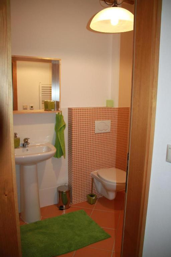 Bathroom 3, Drevenica Desina, Žilina