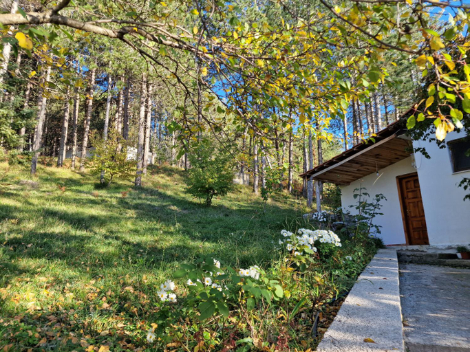 Exterior & Views 5, Bujtinat Skenderi Gjinar, Elbasanit