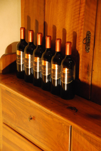 Food & Drinks 5, Landgasthof Schlussel Alpnach, Obwalden