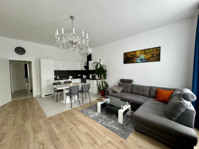 Others 2, Top class apartments in Carlsbad, Karlovy Vary