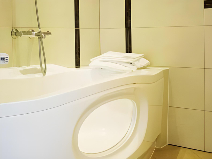 Bathroom 3, Hector Zierikzee, Schouwen-Duiveland