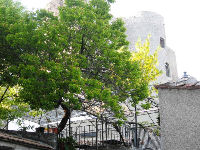Il Nibbio - Casa dell'artista, Cosenza