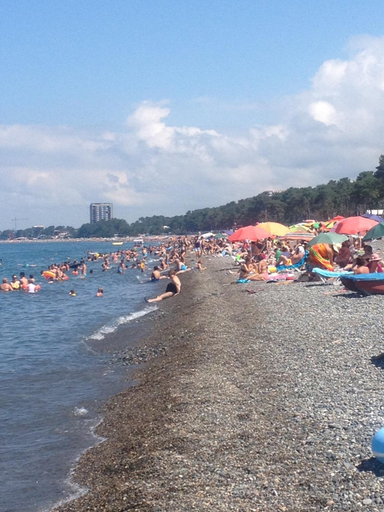 Others 5, Golden Lion, Kobuleti