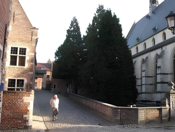 Others 2, Hotel Guesthouse Begijnhof, Vlaams Brabant