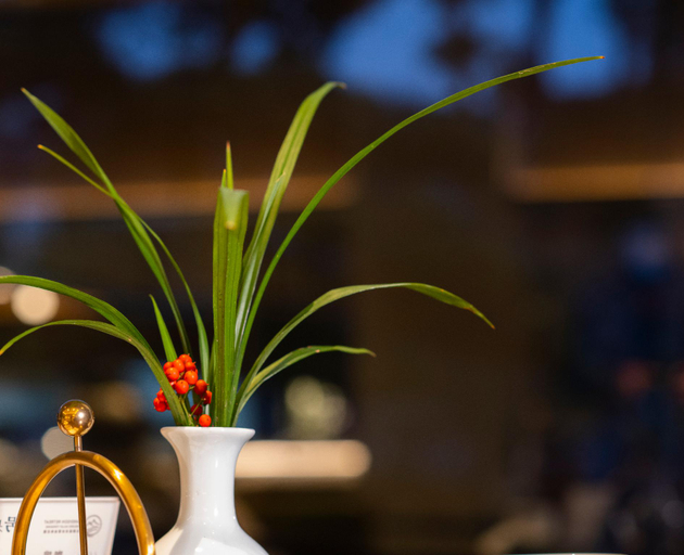 Food & Drinks 4, Panlong Valley Shunshao Manor, Jinhua