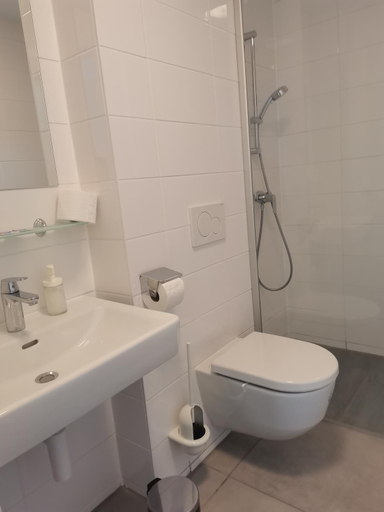 Bathroom 3, AIS Center, Wolfsberg