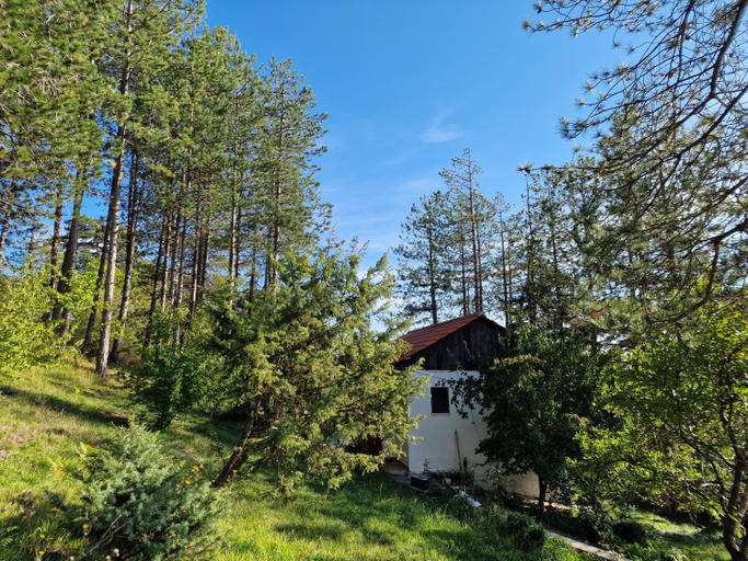Exterior 5