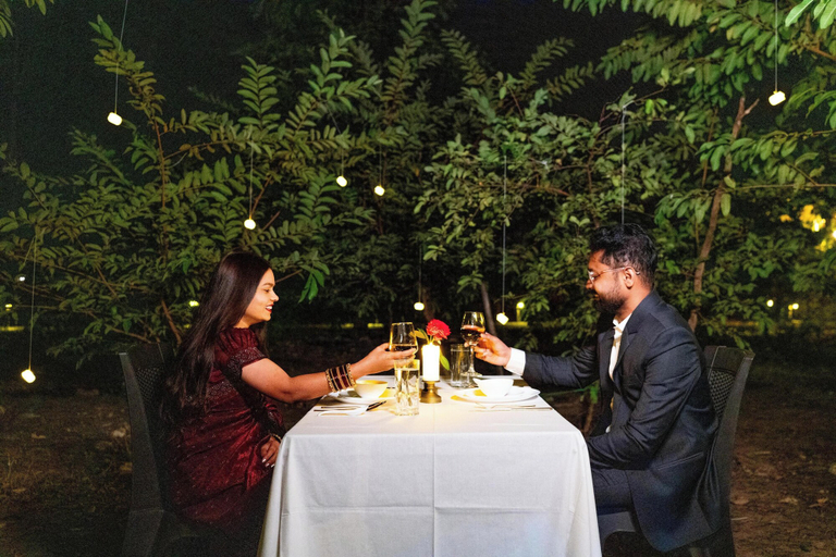 Food & Drinks 5, Wagharanya Resort, Chandrapur