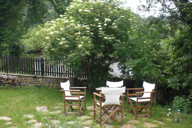 Others 3, Stefanina Guesthouse, Gabrovo