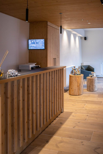 Public Area 2, Chalet Cridola Dolomiti Experience, Belluno